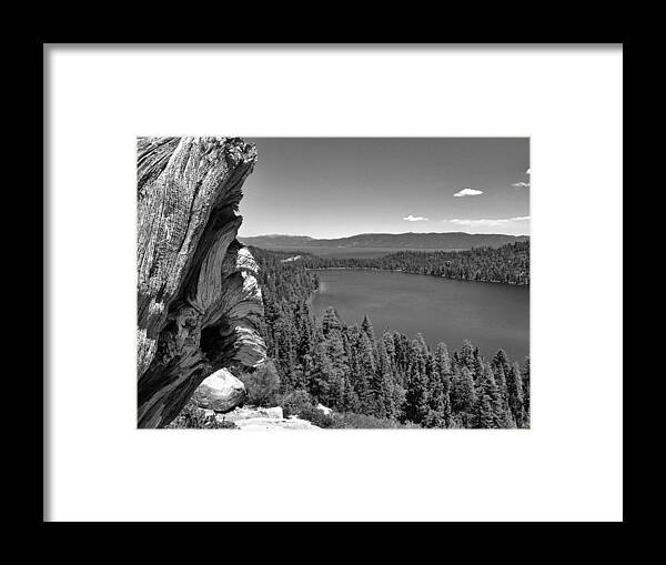 Lake Tahoe Framed Print featuring the photograph Old and New of Cascade Lake B and W by Dave Hall