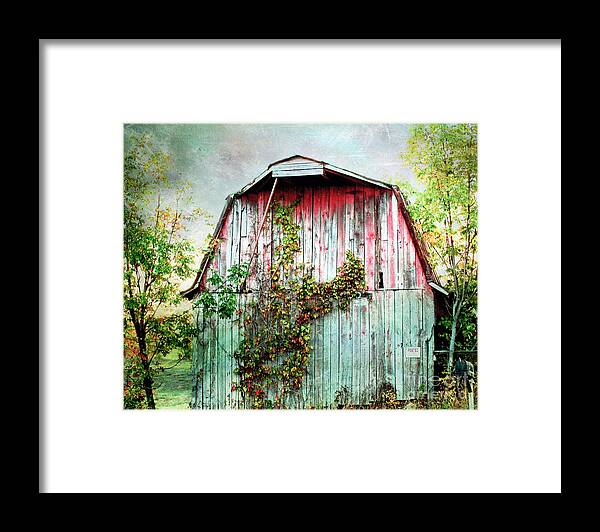Barn Framed Print featuring the photograph Old Barn by Kerri Farley