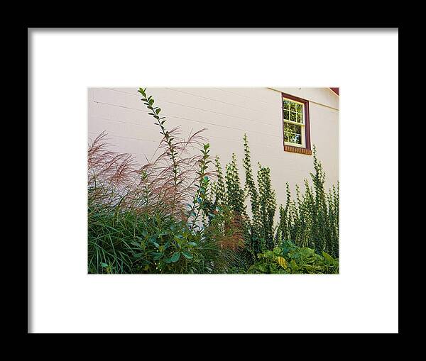 Brick Building Framed Print featuring the photograph Old Brick and Ivy by Jean Goodwin Brooks