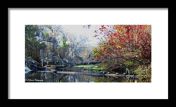 Santa Fe River Framed Print featuring the photograph Old Florida along the Sante Fe River by Barbara Bowen