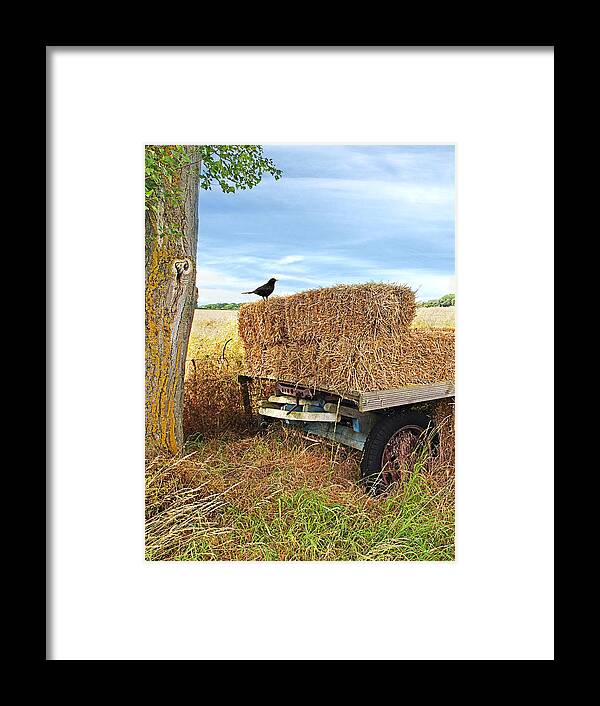 Farm Landscape Framed Print featuring the photograph Old Hay Wagon Vertical by Gill Billington