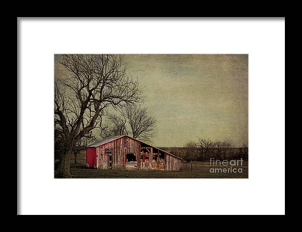 Old Framed Print featuring the photograph Old red barn by Elena Nosyreva
