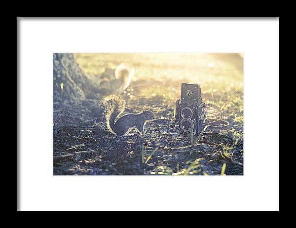 Squirrel Framed Print featuring the photograph Old School by Laura Fasulo