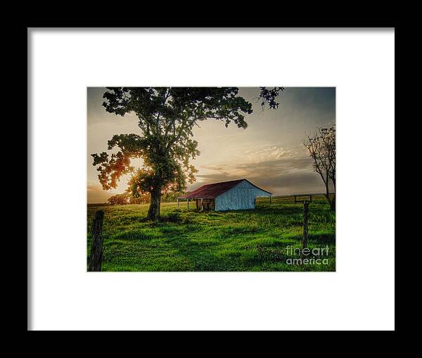 Old Framed Print featuring the photograph Old Shed by Savannah Gibbs