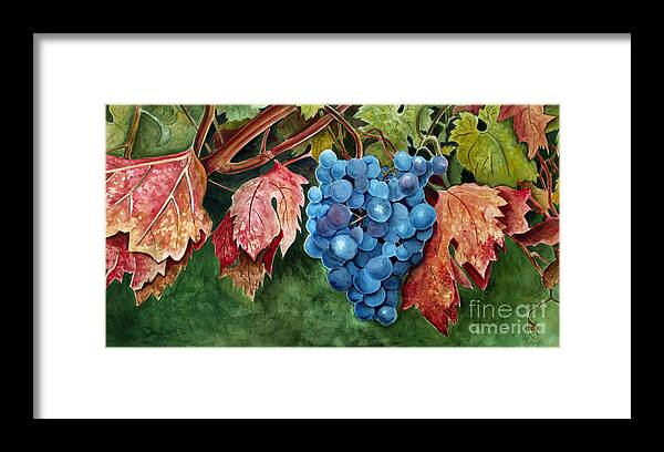 Grapes Framed Print featuring the painting Old Vine Zinfandel by Debbie Hart