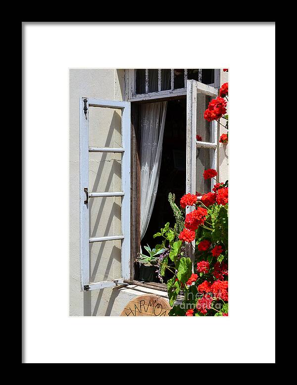 Flowers Framed Print featuring the photograph Old WIndow by Debby Pueschel