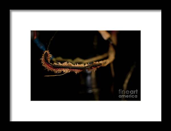 Old Wires Framed Print featuring the photograph Old Wires 1948 Harley Davidson by Wilma Birdwell