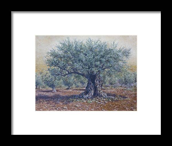  Olive Tree Framed Print featuring the painting Olive in the summer by Miki Karni