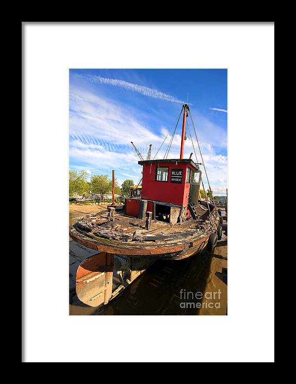 Ollie Framed Print featuring the photograph Ollie by Rick Kuperberg Sr