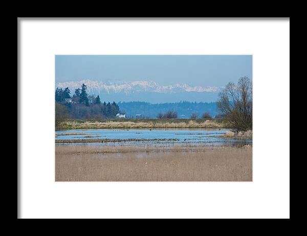 Nisqually National Wildlife Refuge Framed Print featuring the photograph Olympic View by Tikvah's Hope