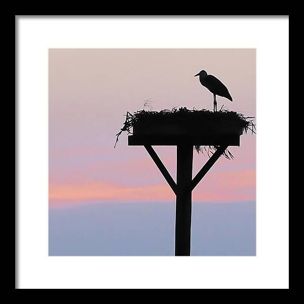 Award-winning Framed Print featuring the photograph On A Wing And A Prayer Image Art by Jo Ann Tomaselli