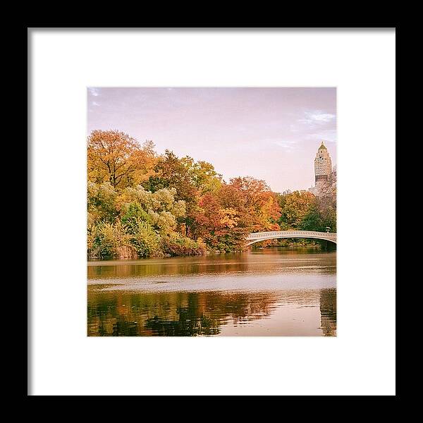  Framed Print featuring the photograph On Autumn Days When Grey Skies Brush by Vivienne Gucwa