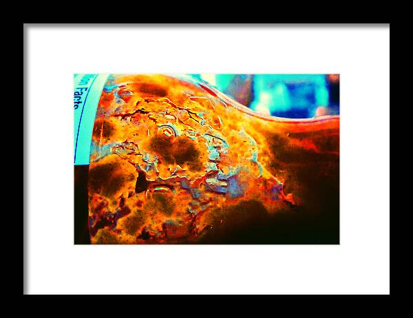 Condiments Framed Print featuring the photograph On Everything by Laurie Tsemak