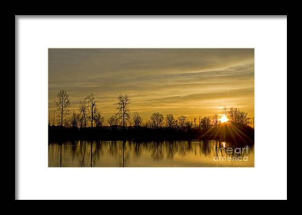 Background Framed Print featuring the photograph On Golden Pond by Nick Boren