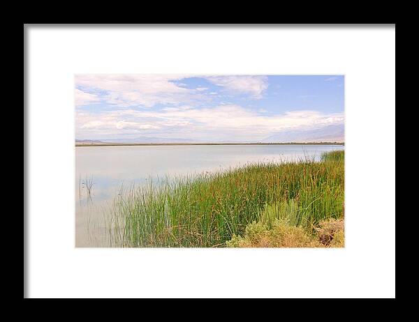 Water Framed Print featuring the photograph On Shore by Marilyn Diaz