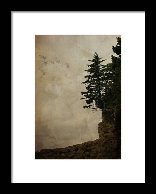 Conifers Framed Print featuring the photograph On the Edge by Marilyn Wilson