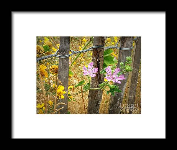 Fence Framed Print featuring the photograph On the Fence by Lainie Wrightson