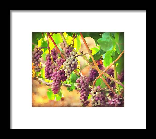Grapes Framed Print featuring the painting On the Vine by Mindy Bench