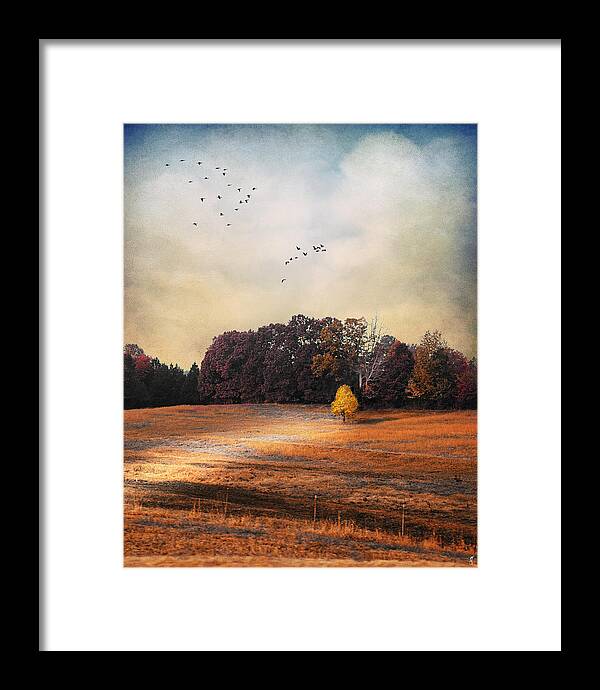 Autumn Framed Print featuring the photograph One and Only by Jai Johnson