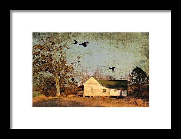 Landscapes Framed Print featuring the photograph One Day It Will Be Gone by Jan Amiss Photography