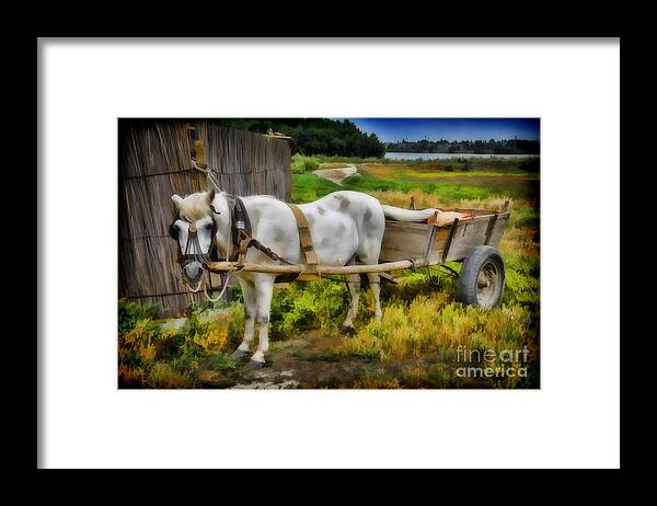 Ken Framed Print featuring the photograph One Horse Wagon by Ken Johnson