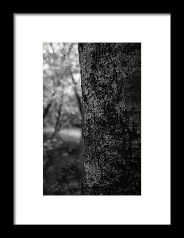 Miguel Framed Print featuring the photograph One in the Forest by Miguel Winterpacht