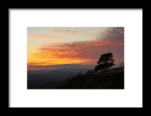British Columbia Framed Print featuring the photograph One Lonely Tree by Carrie Cole