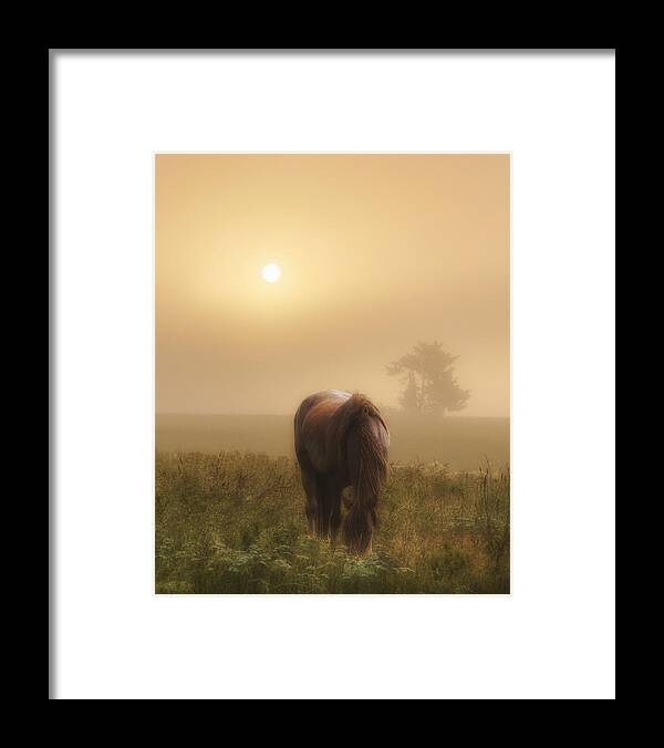 Equine Framed Print featuring the photograph One Misty Morning by Ron McGinnis