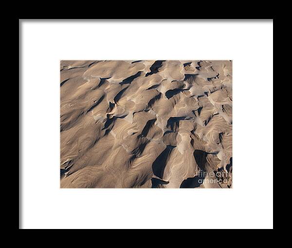 Beach Framed Print featuring the photograph One of a Kind by Ann Horn