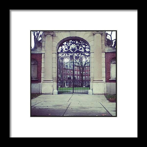  Framed Print featuring the photograph One Of The Gates At Harvard University by Tanya Pillay