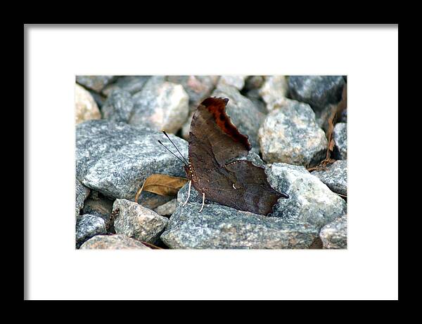 Digital Photography Framed Print featuring the photograph One of the Twelve by Kim Pate