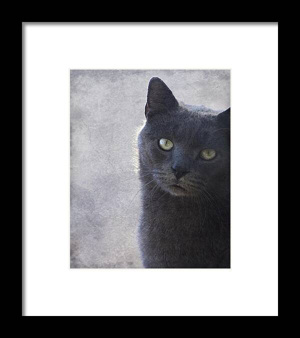 Russian Framed Print featuring the photograph One Of Those Mysterious Blue Days by Kathy Clark