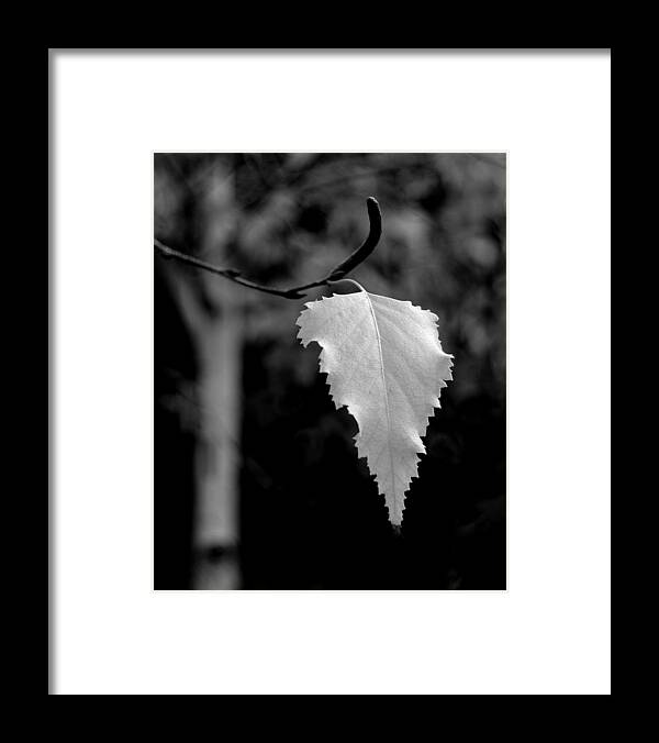 Blacks Framed Print featuring the photograph One by Steven Milner