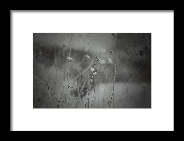 Desert Framed Print featuring the photograph One Way Wish by Mark Ross