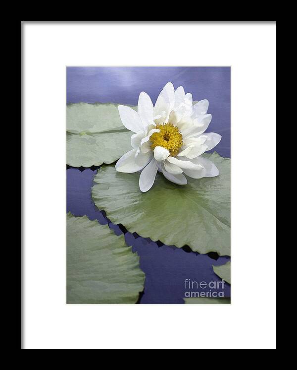Flower Framed Print featuring the photograph One White Lily by Sharon Foster