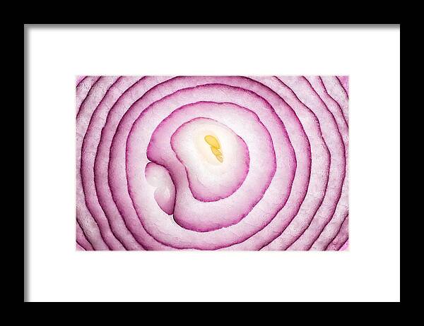 White Background Framed Print featuring the photograph Onion Slices Full Frame Close Up Shot by MirageC