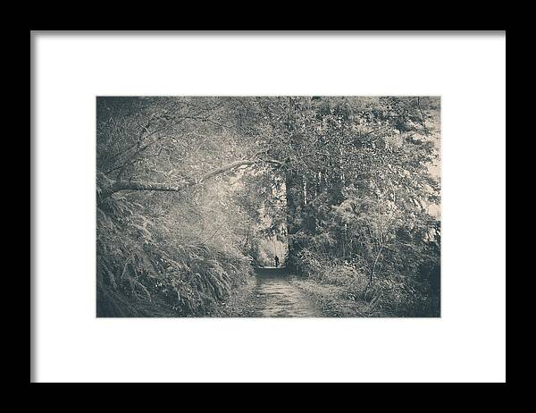 Redwood Regional Park Framed Print featuring the photograph Only Peace by Laurie Search