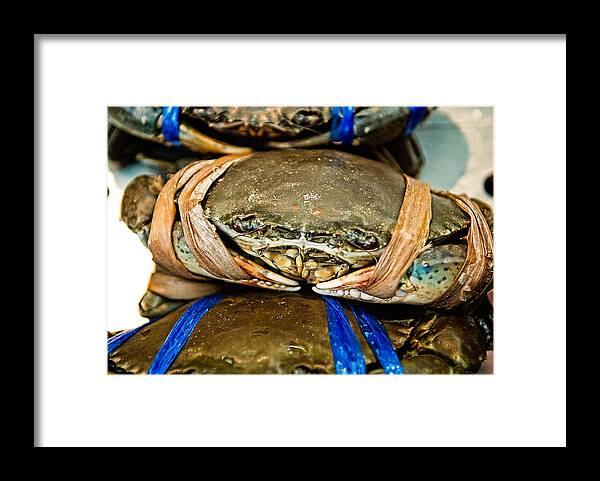 Crab Framed Print featuring the photograph Ooh Crab by Dean Harte
