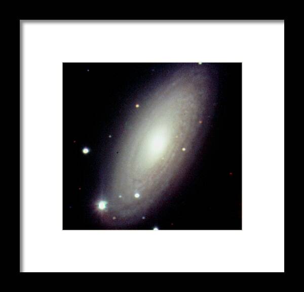 Ngc 2841 Framed Print featuring the photograph Optical Ccd Image Of The Spiral Galaxy Ngc 2841 by Dr Rudolph Schild/science Photo Library