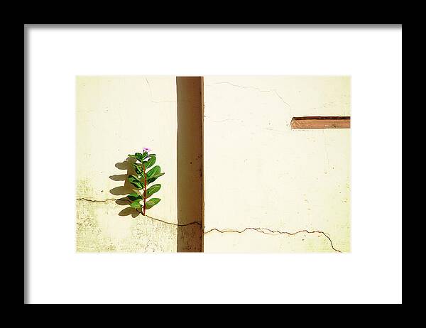 Motivation Photography Framed Print featuring the photograph Optimism Pays by Prakash Ghai