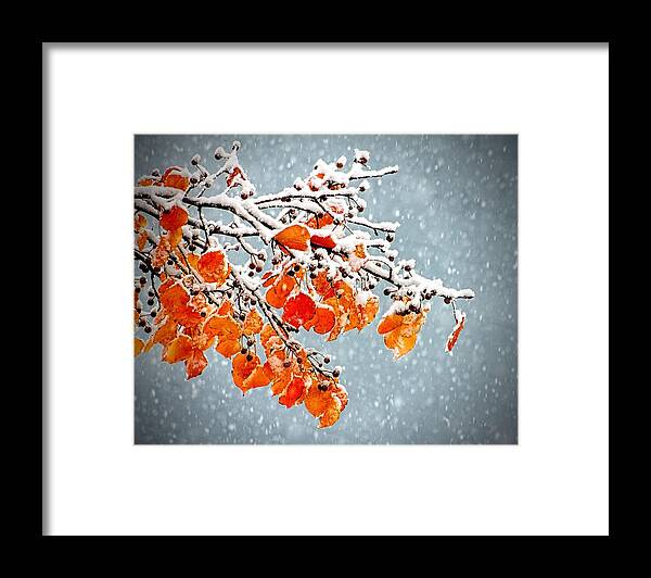 Orange Framed Print featuring the photograph Orange Autumn Leaves In Snow by Tracie Schiebel