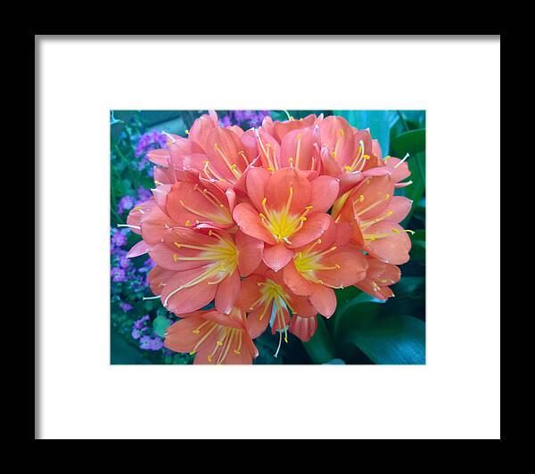 Orange Framed Print featuring the photograph Orange Bouquet by Claudia Goodell