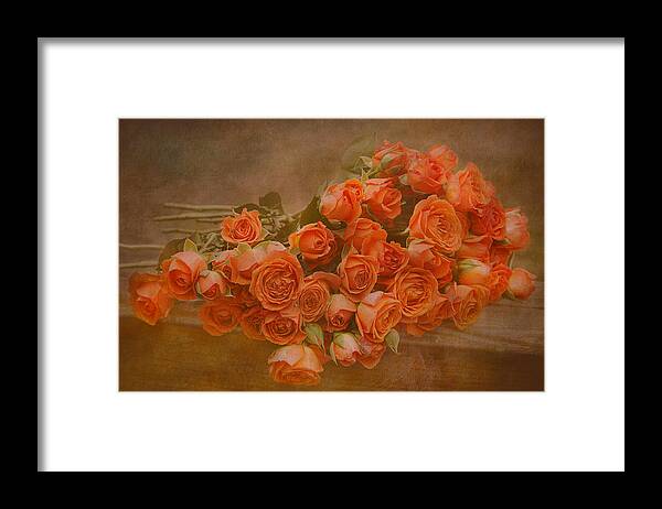 Roses Framed Print featuring the photograph Orange Crush by Pat Abbott