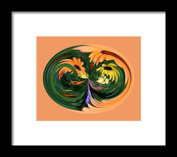 Flowers Framed Print featuring the photograph Orange Daisy by Jim Baker