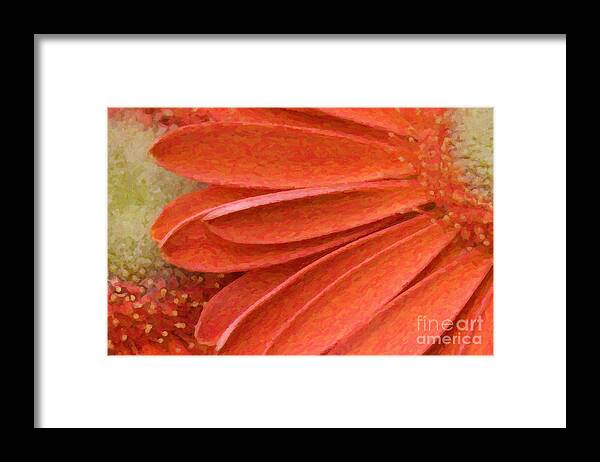 Gerber Framed Print featuring the digital art Orange Gerber Daisy Painting by Jill Lang