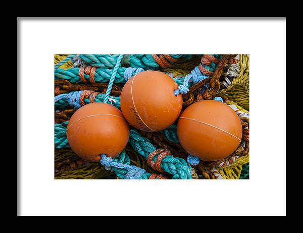 Newport Framed Print featuring the photograph Orange Net Floats by Carol Leigh