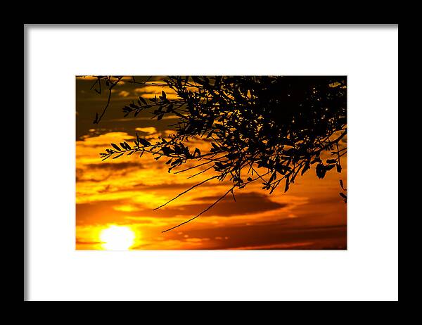 Sunset Framed Print featuring the photograph Orange sunset by Tammy Ray