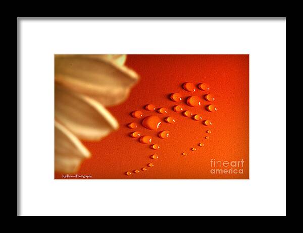 Flower Framed Print featuring the photograph Still Life - Orange Water Flowers by Kip Krause