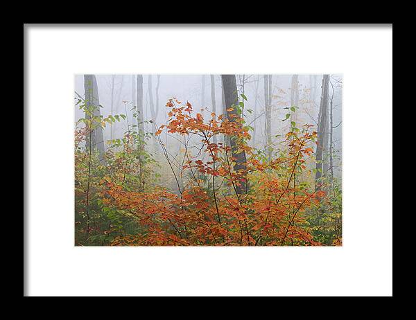 New Framed Print featuring the photograph Orange You Glad by Juergen Roth