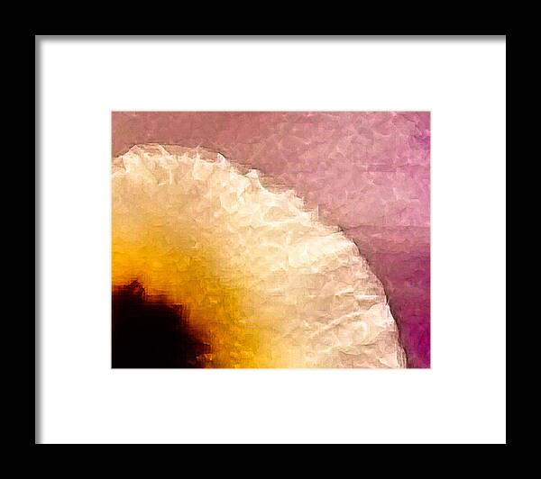 Flowers Orchid Abstract Croppings Cropped Crop Pink Magenta Yell Framed Print featuring the photograph Orchid Abstract-5 by David Coblitz